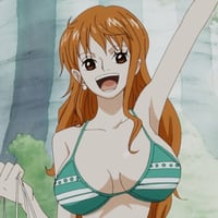 ستيان نامي ون بيس | one piece