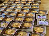 ميدالية الشمس