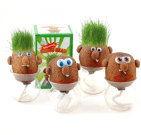 نبات العشب ، ممتعة للصغار والكبار ..