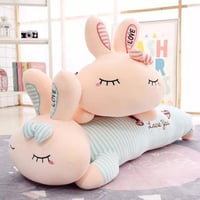 الأرنبة الجميلة ،