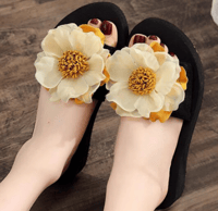 شبشب جميل ومميز بقاعدة من الEva