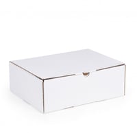 50 كرتون شحن ابيض طول 22 عرض 15 ارتفاع 8