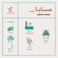 قهوة كوبر كب مسابا اوغندا 250 جرام