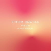 قهوة انلايت بابا تولو إثيوبيا مجففة لاهوائي 250 جر...