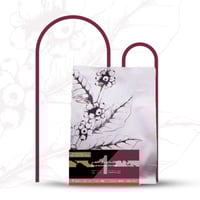 قهوة عمق جبال القمر مجهولة 1 اوغندا مجففة فلتر 250...