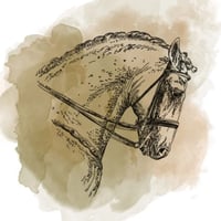 قهوة مصنع القهوة أروقيت كولومبيا مغسولة