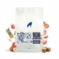 قهوة رشفة سوداء كينتاماني إندونيسيا مجففة لاهوائي