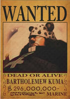WANTED - A4 (1)