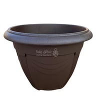 عودي