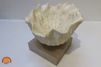 صحن تقديم بقاعده