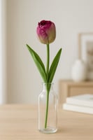 ورد توليب موف غامق