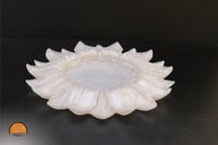 صحن تقديم بشكل صدفي عصري