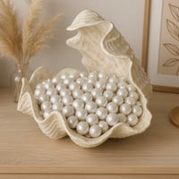 صحن ضيافه بشكل قوقعه