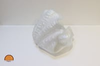 صحن بشكل قوقعه