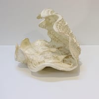 صحن ضيافه بشكل قوقعه