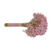 زهور صناعية للتزيين وردي/ أخضر 35سنتيمتر