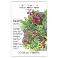 بذور خس سوق المزارعين - Lettuce Mesclun Farmer's M...