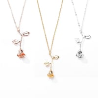 سلسال وردة الجوري