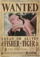 WANTED - A4 (7)