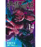 Jujutsu Kaisen Vol14