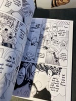 Fruit basket volume 1