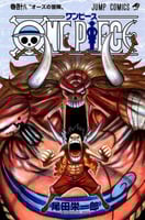 one piece vol48