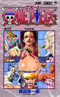 one piece vol13