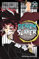 Demon Slayer Vol20