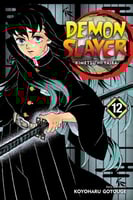 Demon slayer Vol12