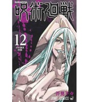 Jujutsu Kaisen Vol12