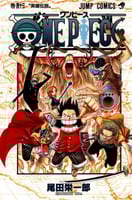 one piece vol43