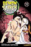 Demon Slayer Vol11