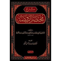 شرح مختصر الروضة 3/1