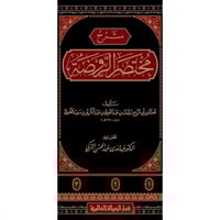 شرح مختصر الروضة 3/1