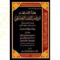 محنة الامام المحدث ابن ناصر الدين الدمشقي