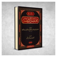 شرح مختصر الروضة 3/1