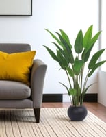 شجرة ورق عصفور الجنة حوض بلاستيك ذهبي 140 سم