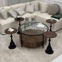 طقم طاولة قشرة