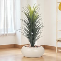 شجر صبار فرع واحد حوض فيبر بيضاوي مقاس 110 سم - مت...