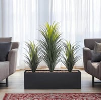 صبار وسط 3فروع حوض مستطيل فيبر