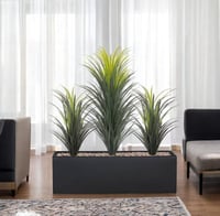 صبار وسط 3فروع حوض مستطيل فيبر