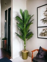 شجر نخله مركن ذهبي 150سم