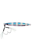 zebra blue pink