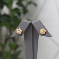 حلق بديل الذهب نرجس