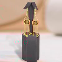 أصالة الوطن