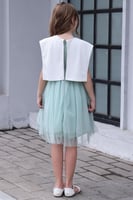 فستان تل باللون الأخضر الفاتح وأبه مطرزة