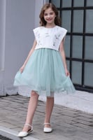 فستان تل باللون الأخضر الفاتح وأبه مطرزة