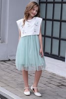 فستان تل باللون الأخضر الفاتح وأبه مطرزة