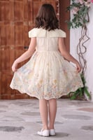 فستان بناتي