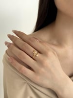 خاتم فضة - السفر